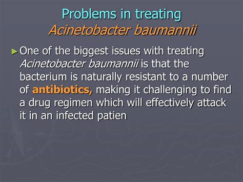 acinetobacter pronunciation|acinetobacter baumannii antibiotic treatment.